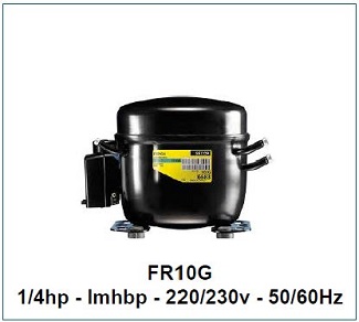 fr10g